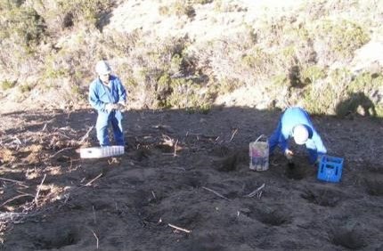 Personal generando microrelieve en el terreno