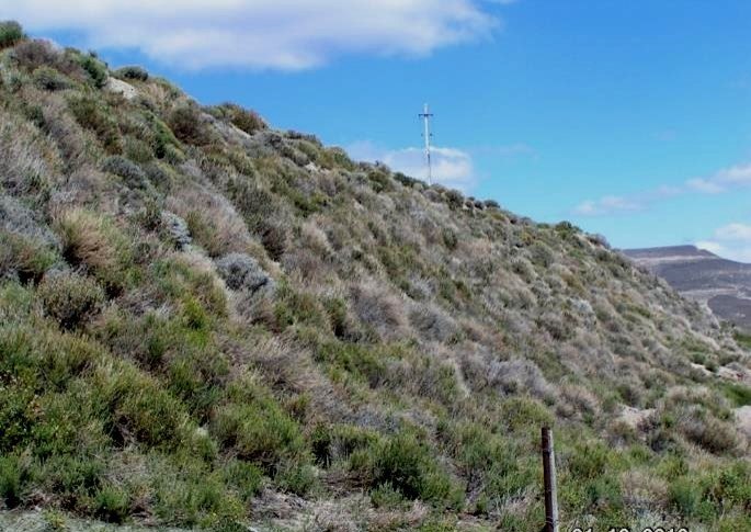 Talud revegetado registrado en seguimiento