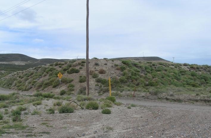 Talud con cobertura vegetal registrado en seguimiento
