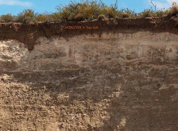 Perfil de suelo con el horizonte fértil identificado